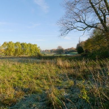 Grünland / Wiese in Kirchhellen