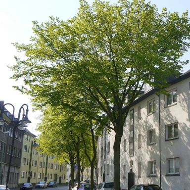 Erdgeschosswohnung in stadtnaher Lage